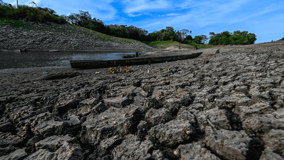 الأمم المتحدة: ربع سكان العالم يعانون من الجفاف