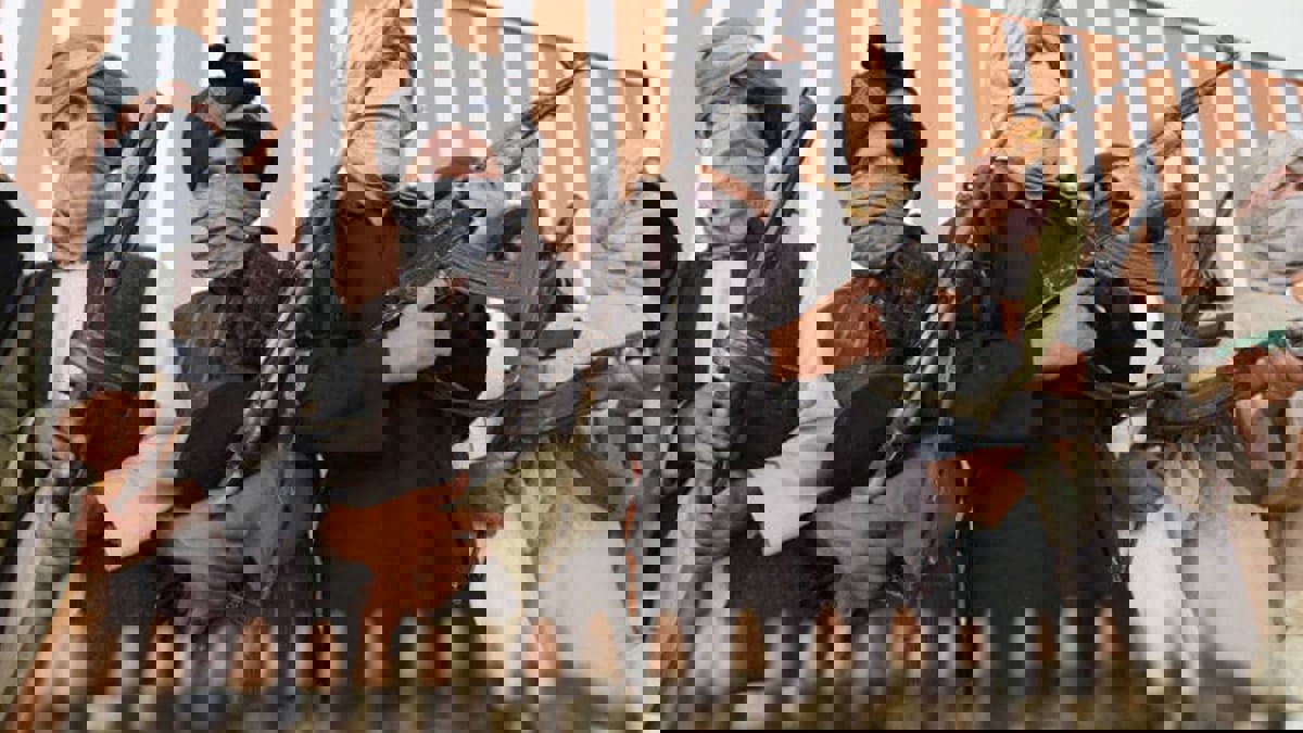 طالبان تسيطر على مدينتي "بل خمري" و"فراح" في أفغانستان