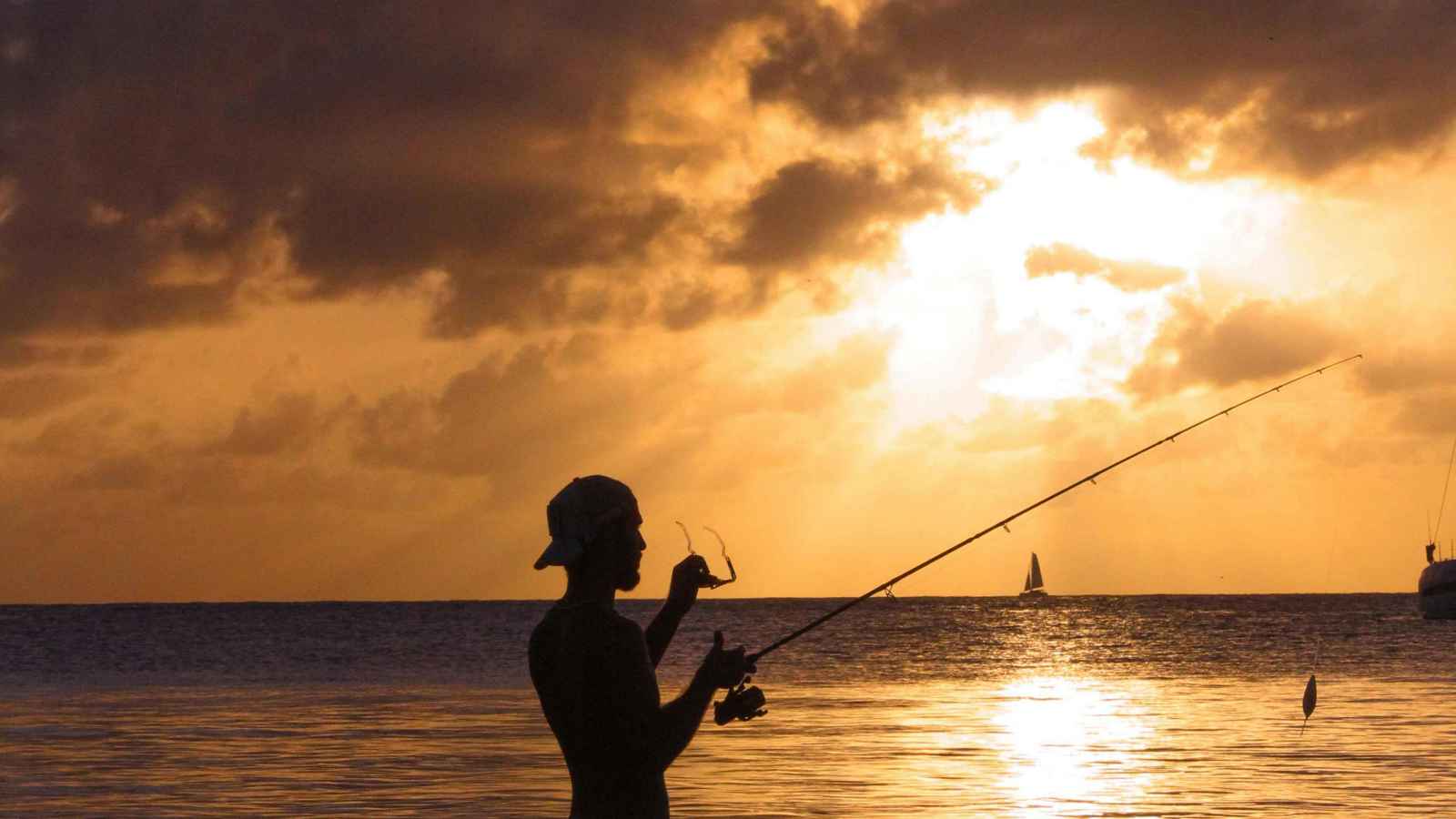 "التقاعد الجزئي".. تعزيز للصحة النفسية أم قاتل للمسيرة المهنية؟