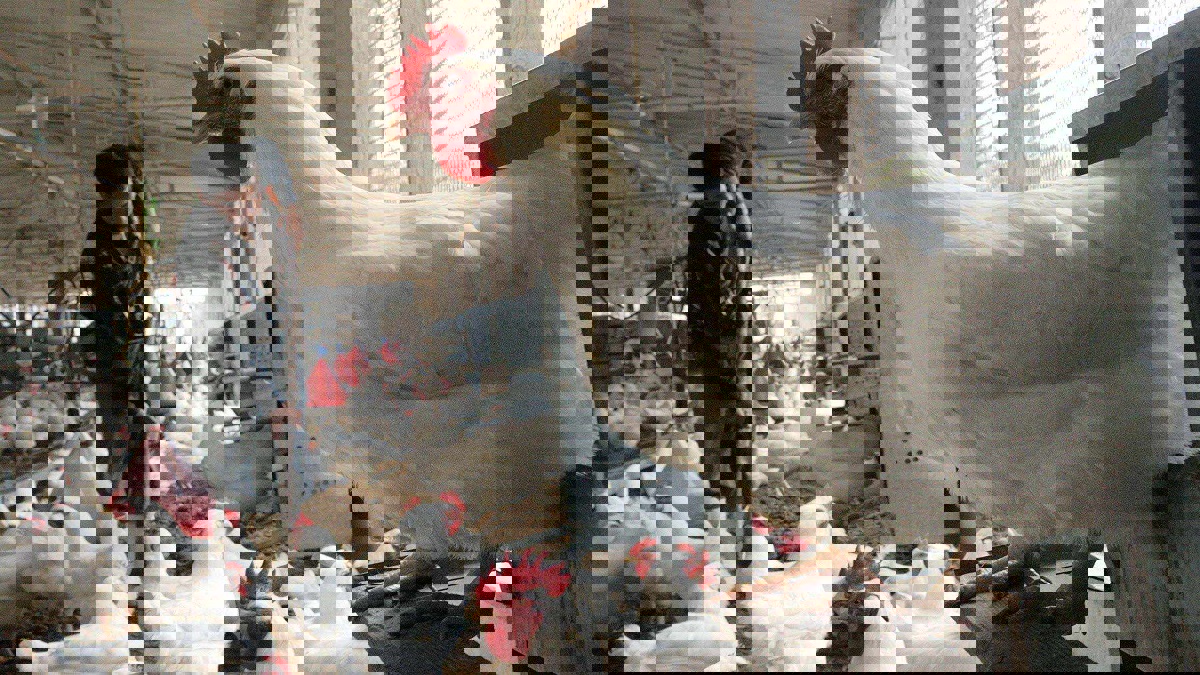 حملات مقاطعة المنتجات الاستهلاكية في المغرب تعود إلى الواجهة مجددًا