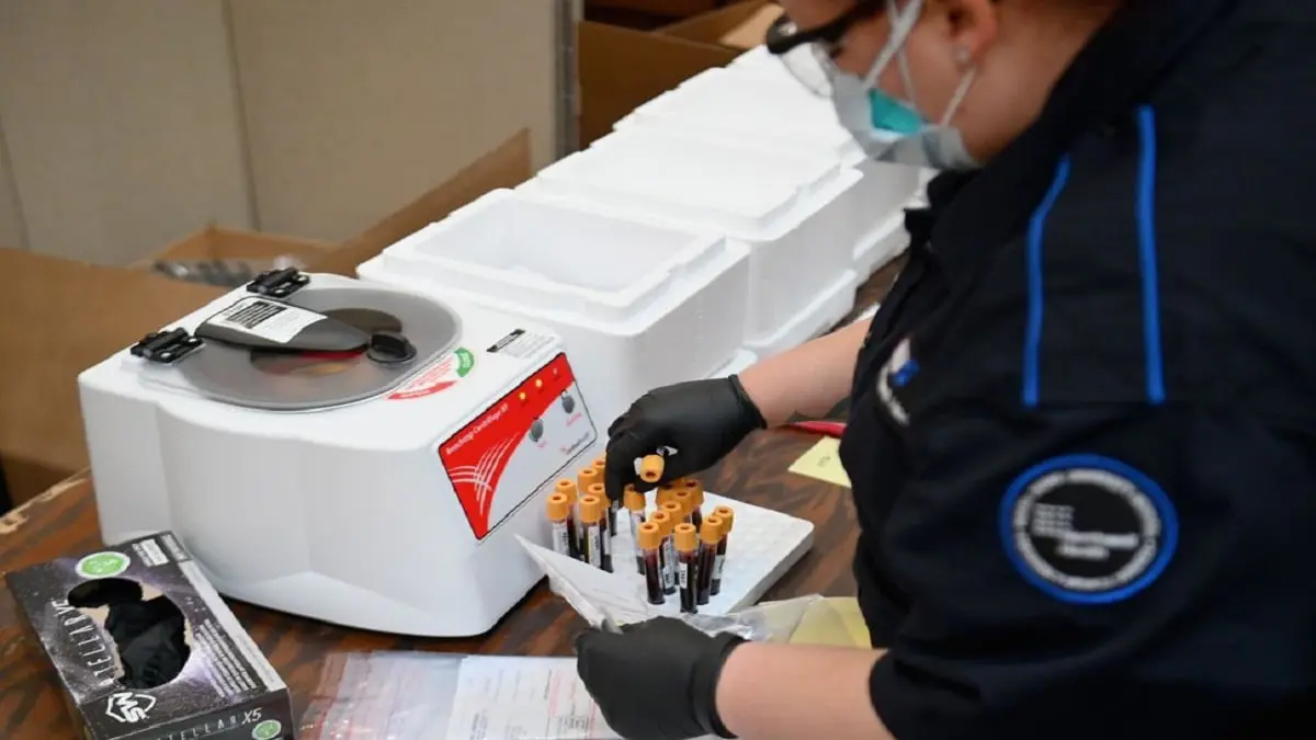 دراسة: مصابو كورونا يمكن أن يكتسبوا مناعة لسنوات بعد شفائهم