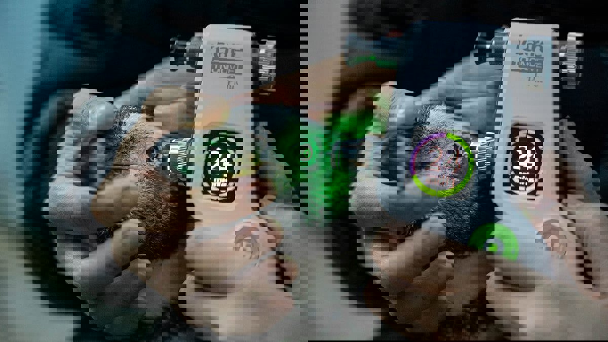 إنجاز بيطري.. زرع عدسات داخل عيون 6 بطاريق في سنغافورة