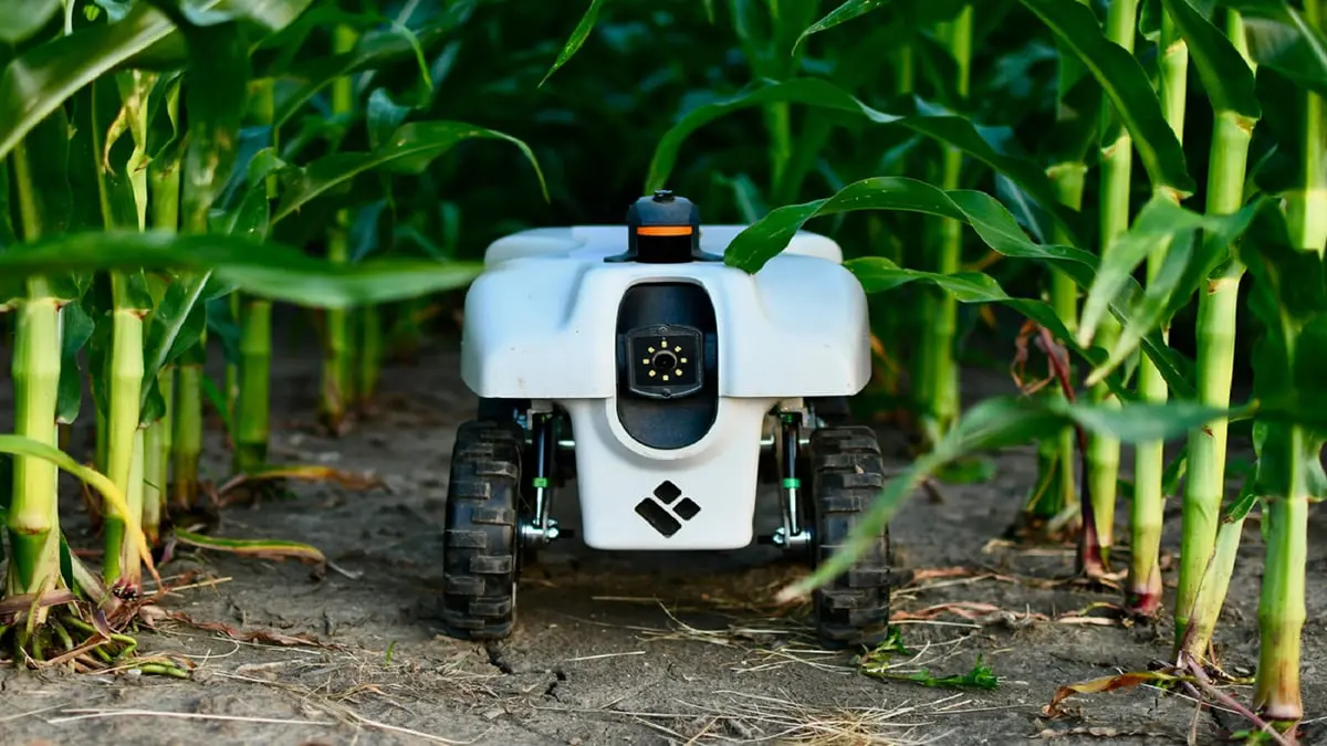 روبوت مصنوع من النبات يزيل آثار المبيدات الحشرية والمعادن الثقيلة