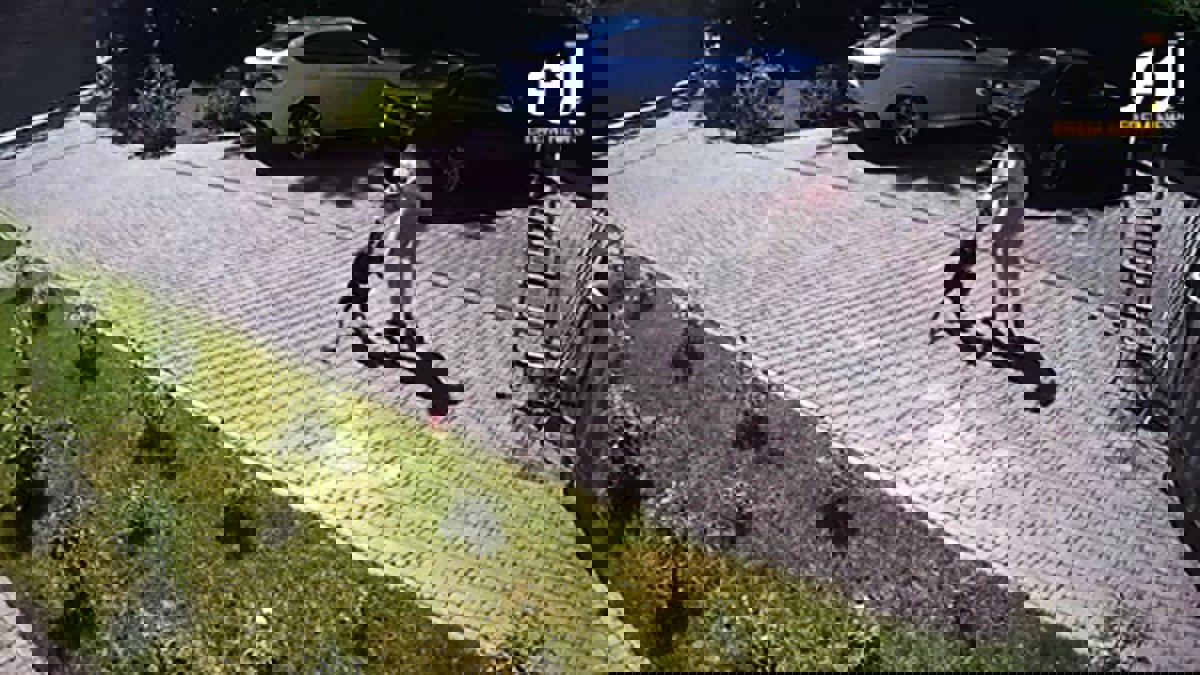 أم تنقذ طفلتها من براثن "قرد مجنون" حاول خطفها (فيديو)