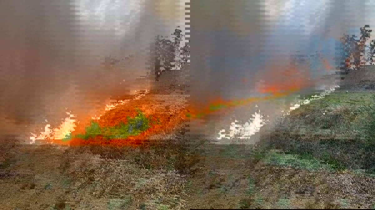 حريق كبير داخل جامعة الموصل العراقية (صور وفيديو) 