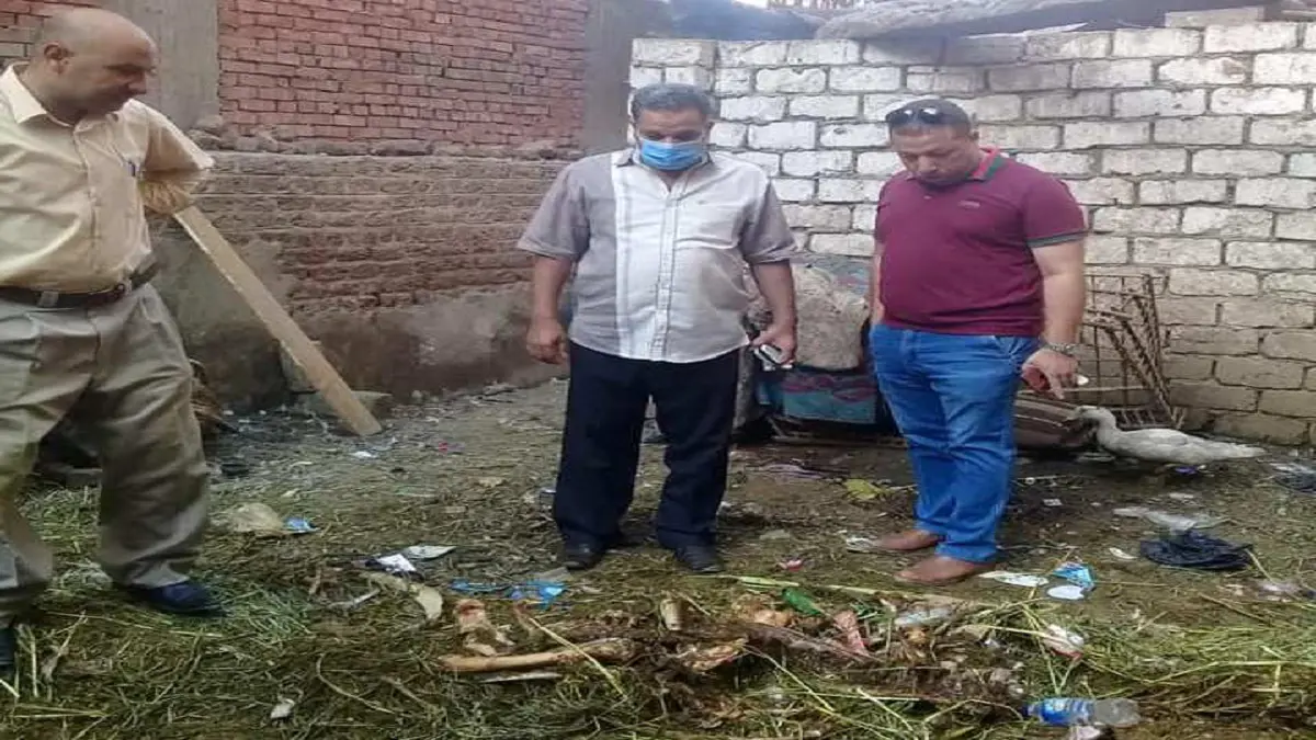 ضبط نصف طن من لحوم الحمير قبل بيعها بالأسواق المصرية (صور)