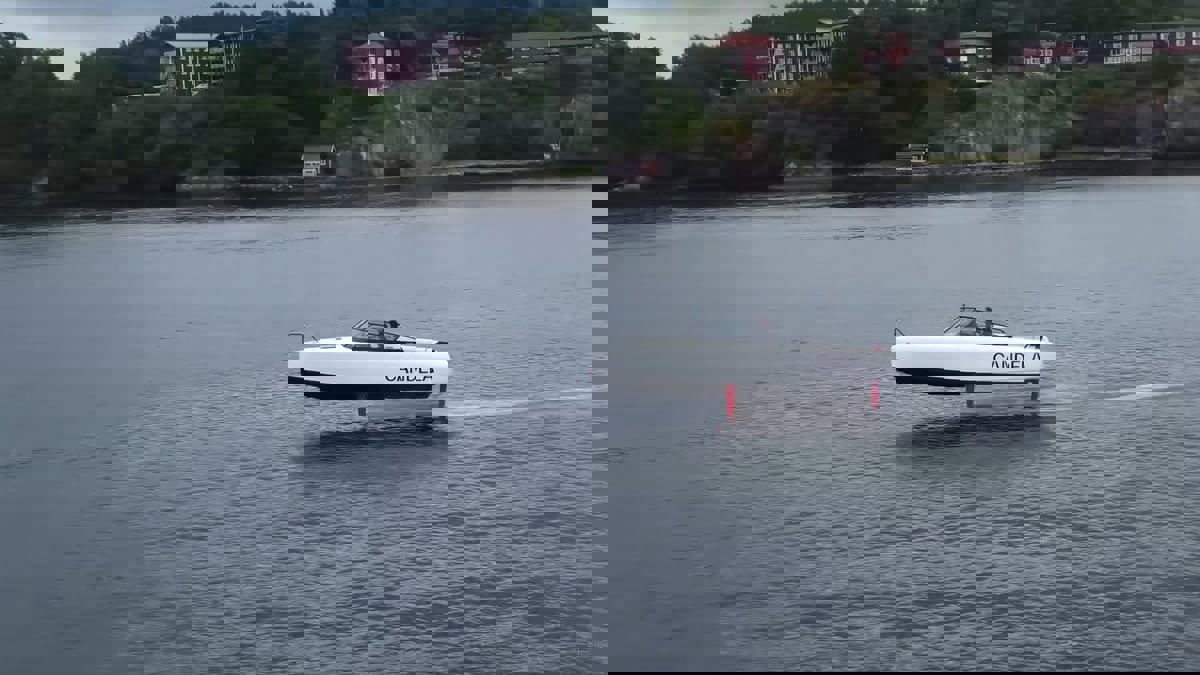 "تسلا البحار".. قارب صديق للبيئة يحلق فوق الماء