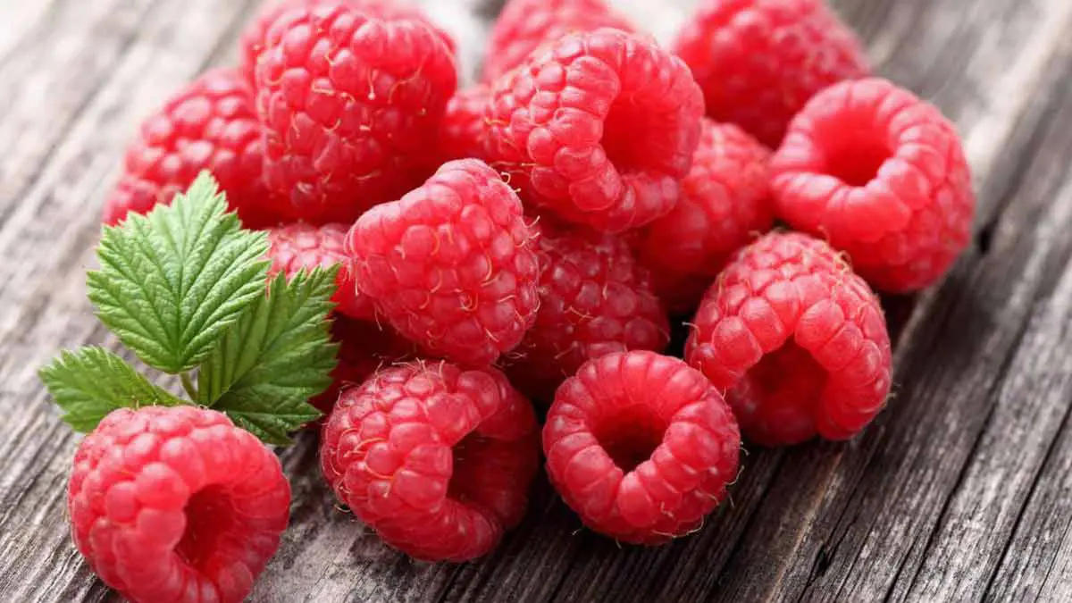 دراسة: التوت الأحمر يساعد على إزالة "الكرش"