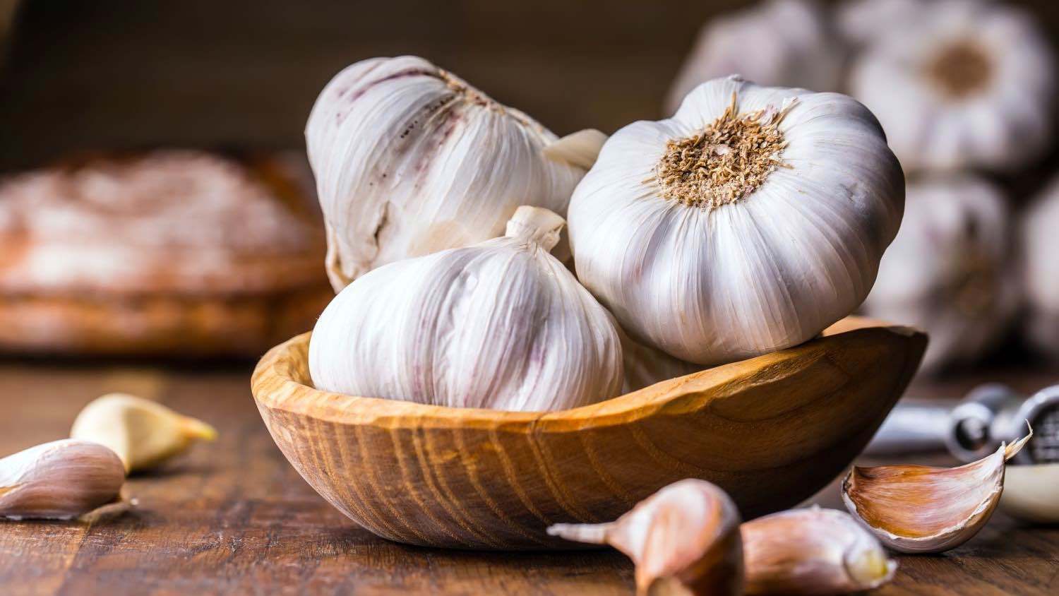 يدعم صحة القلب.. فوائد تناول الثوم النيء يومياً