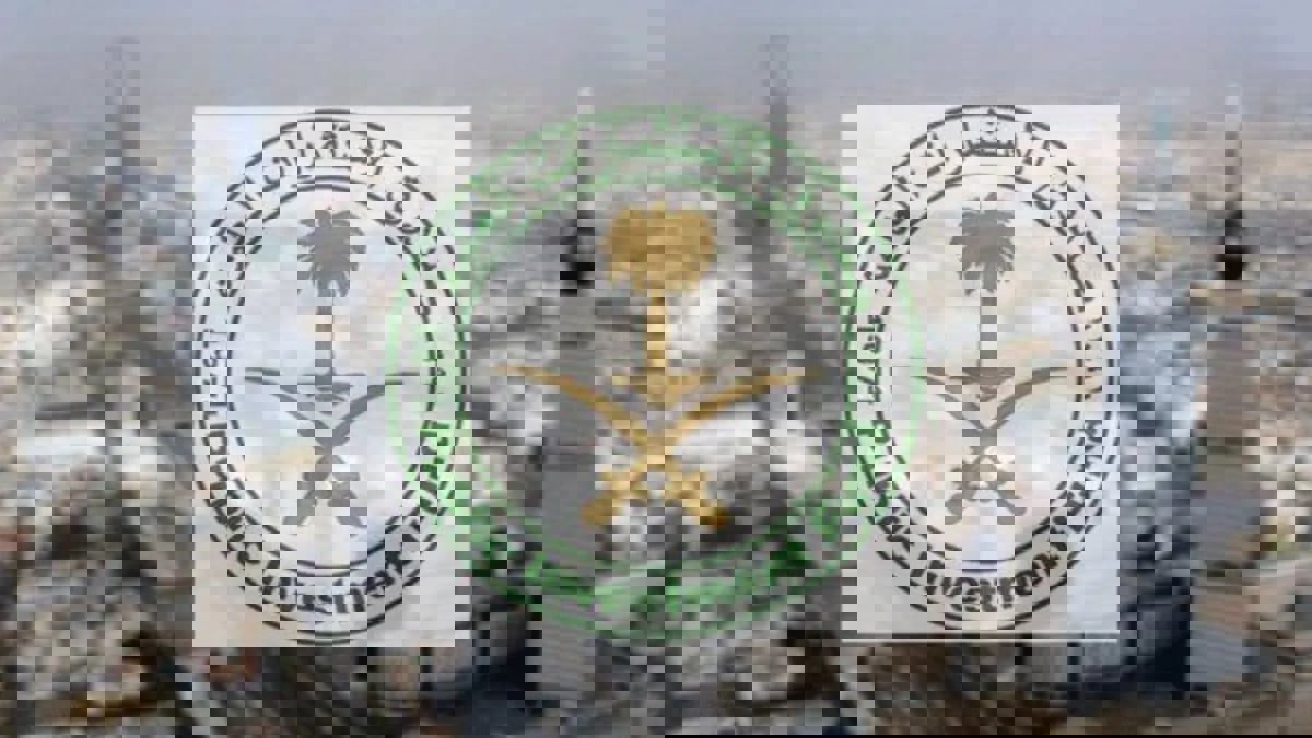 "الصندوق السعودي" و"كاين إنترناشونال" يستثمران 900 مليون دولار في "آمان"