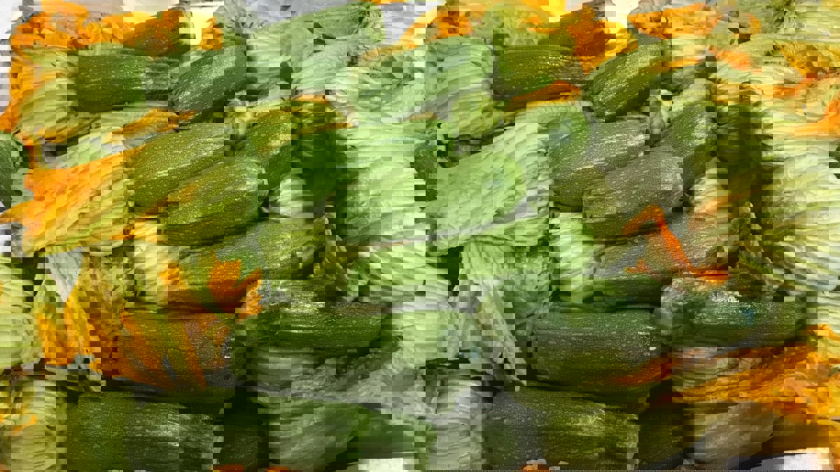 فوائد غير متوقعة للكوسا.. تعرف عليها