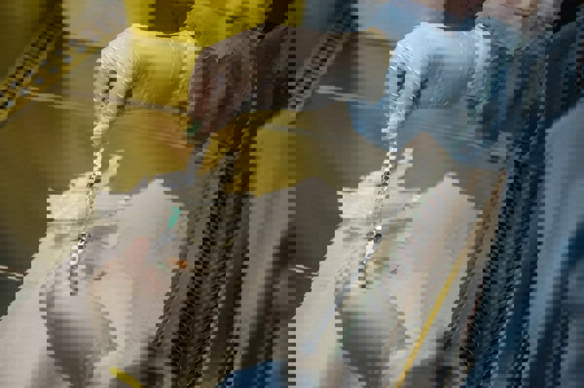 تقدم واعد للقضاء على "الإيدز" عبر تقنية حازت على "نوبل"