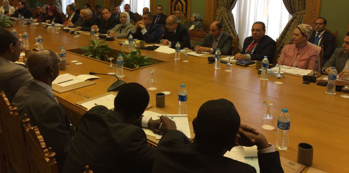 في تطور لافت.. مصر تنعش علاقتها الدبلوماسية مع إثيوبيا