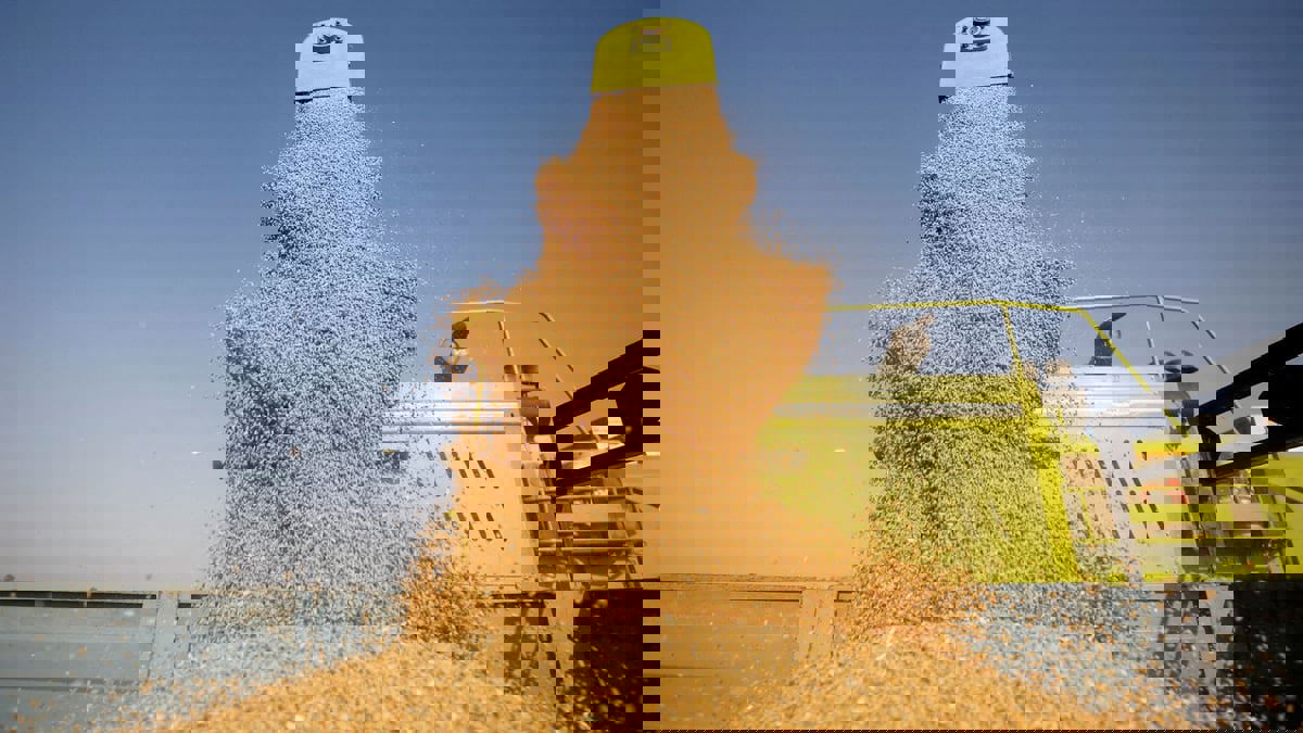 البنك الدولي يخصص 30 مليار دولار لدعم الأمن الغذائي