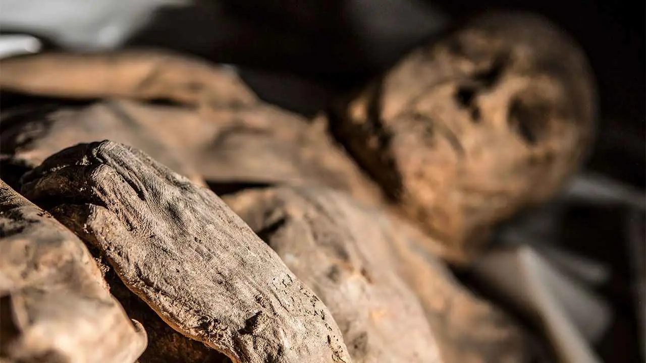 المومياء "دواء".. قصة مرضى أكلوا "مسحوق الموتى"