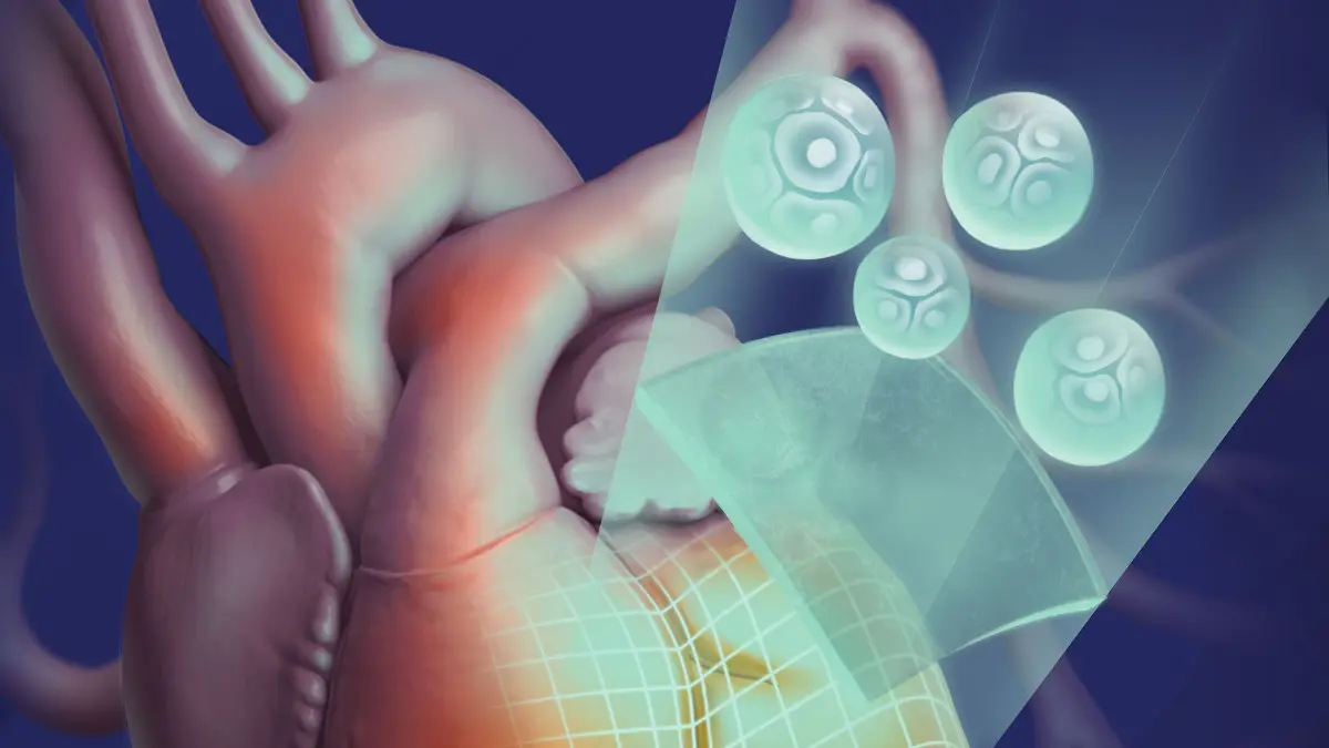 ابتكار نسيج اصطناعي لشفاء السكتات القلبية المفاجئة‎‎