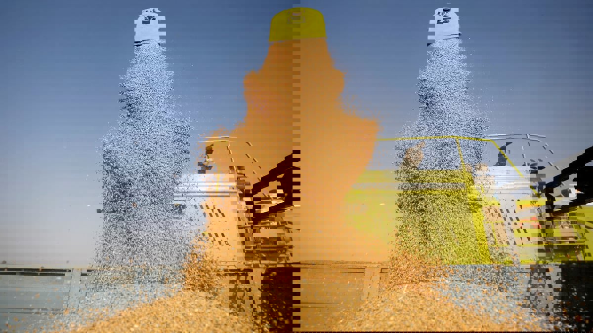 تونس تستعيد ثقة الأوروبيين بعد إبرام عقود كبيرة لدعم منتجي الحبوب