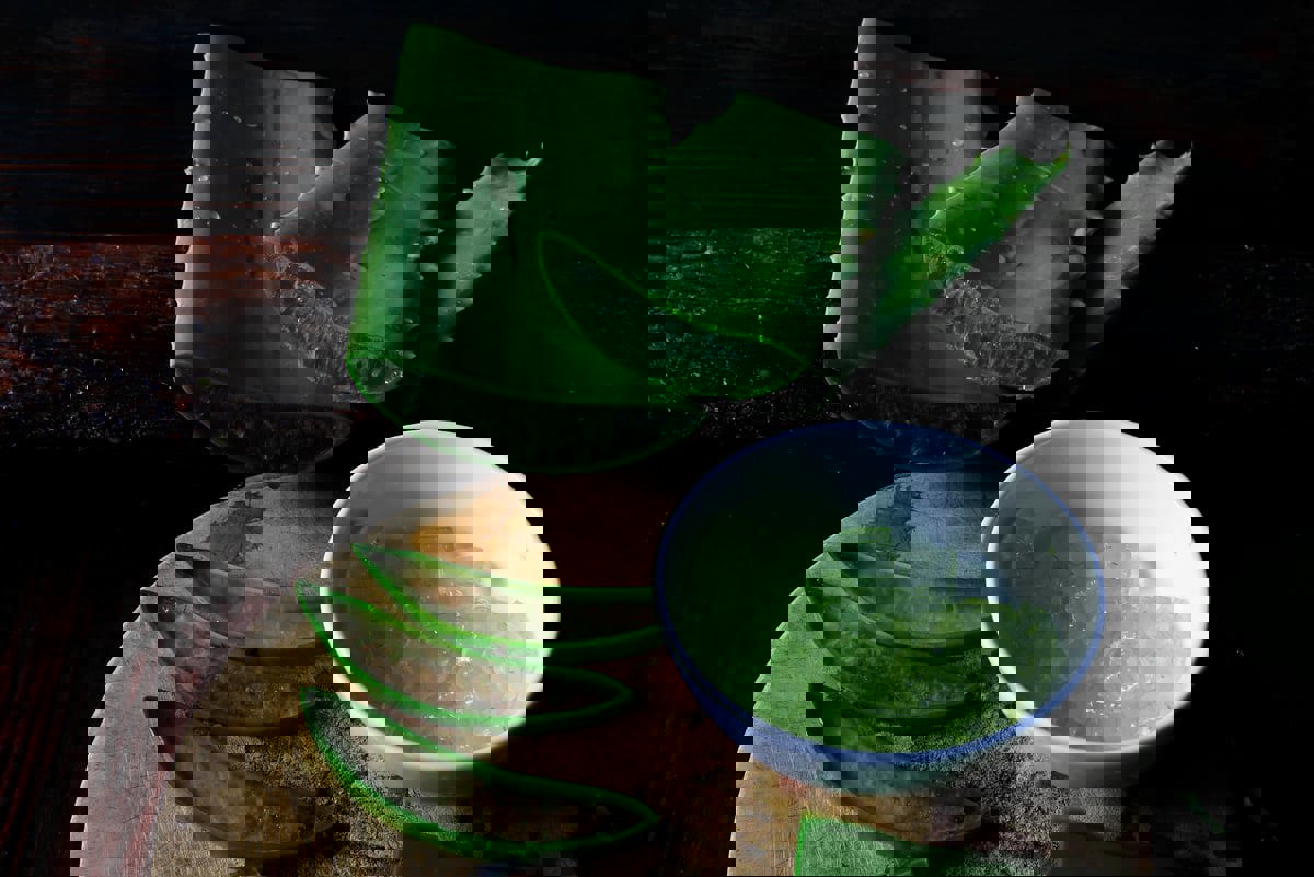 صبار الألوفيرا.. 5 طرق صحية لاستهلاكه