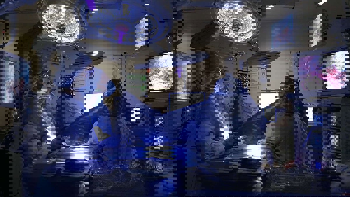 جراحون أمريكيون ينجحون باختبار زرع كلية خنزير في مريضة من البشر