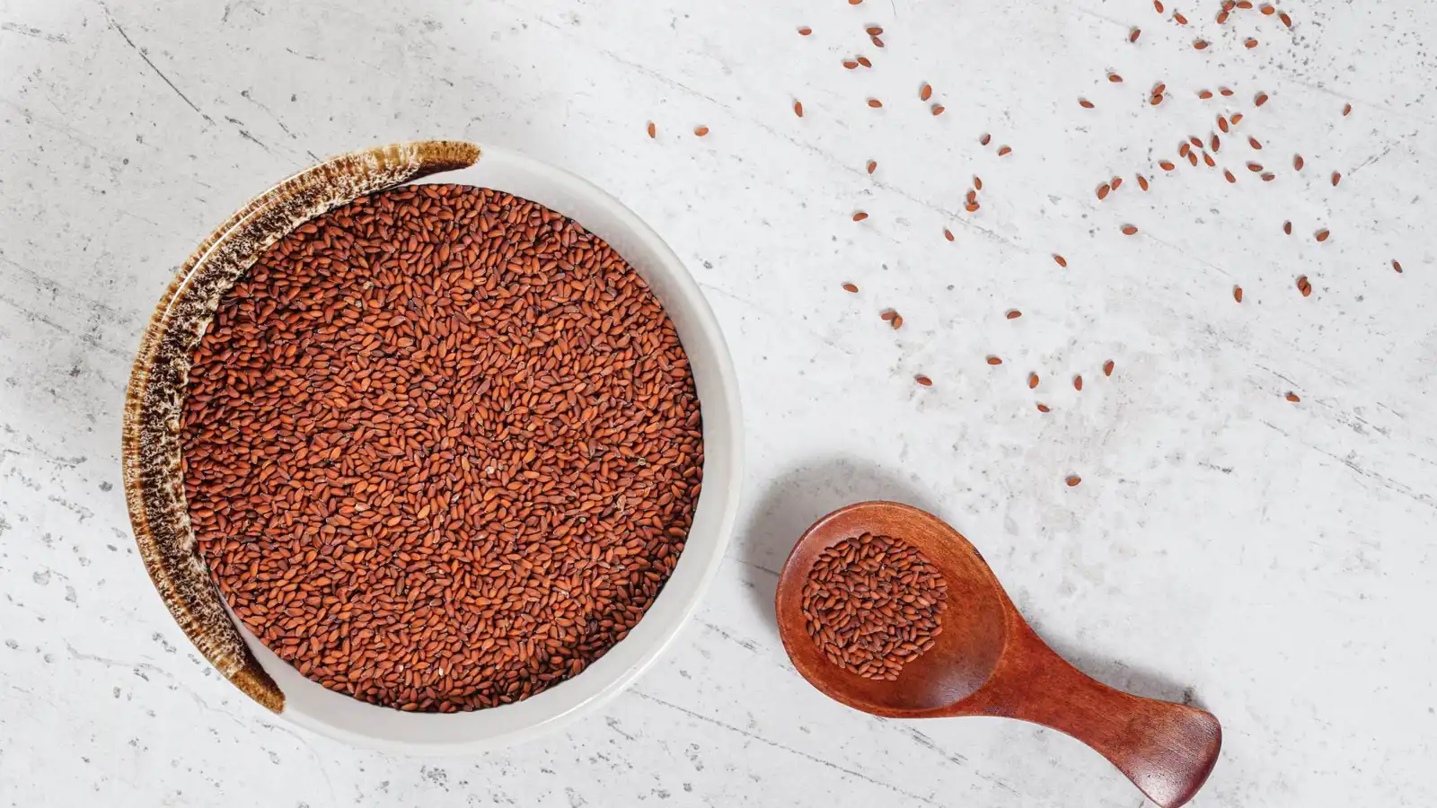 بذور الجرجير.. غذاء نباتي يدعم الحديد وصحة الدم