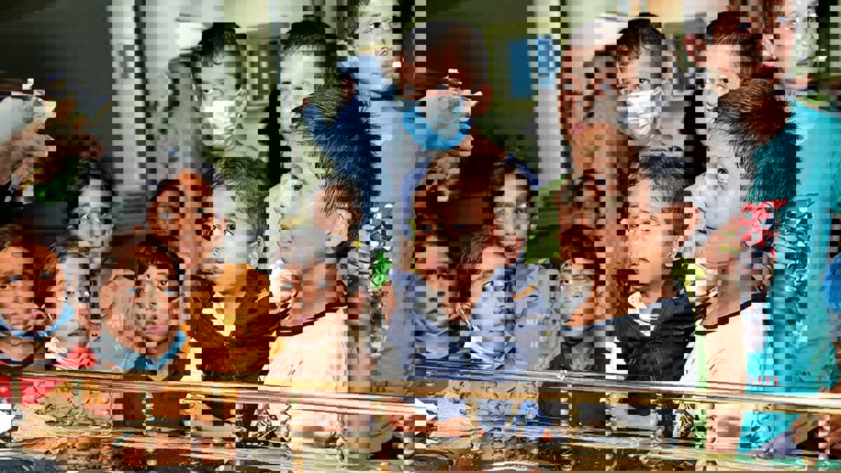 تقرير: الأطفال الأفغان يعملون في إيران بنظام "السخرة"