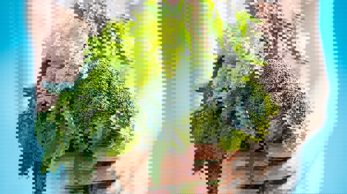 أفضل الخضراوات الورقية الغنية بالفوائد