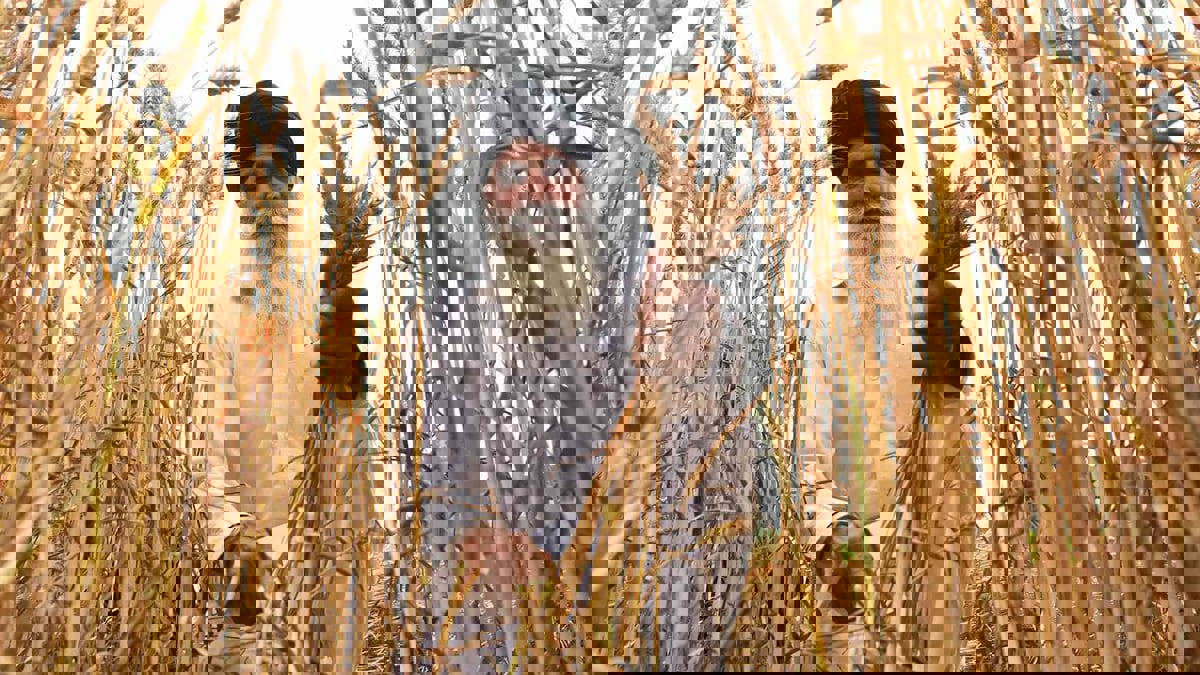 لتهدئة الأسعار.. الهند تحظر تصدير القمح بأثر فوري