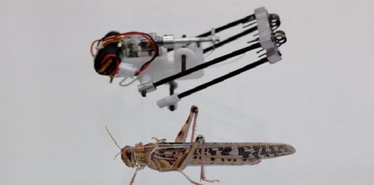 ابتكار روبوتات تشبه الجراد للقيام بمهام الرصد والمراقبة