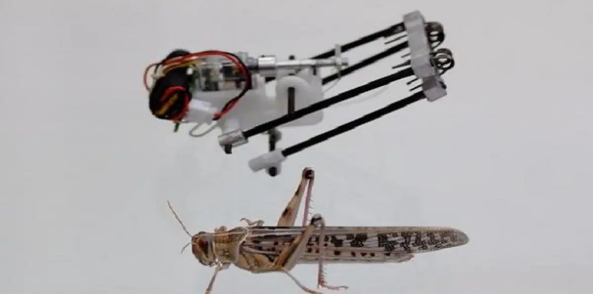 ابتكار روبوتات تشبه الجراد للقيام بمهام الرصد والمراقبة