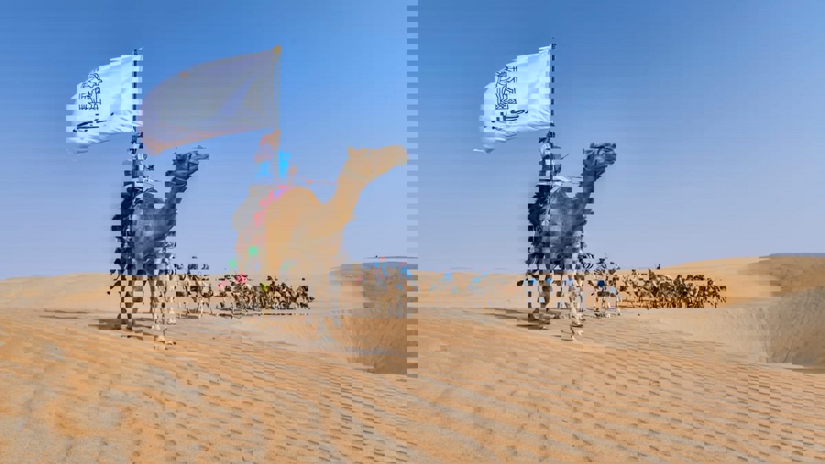 السعودية تستعين بالدعاة لمواجهة وشم الإبل