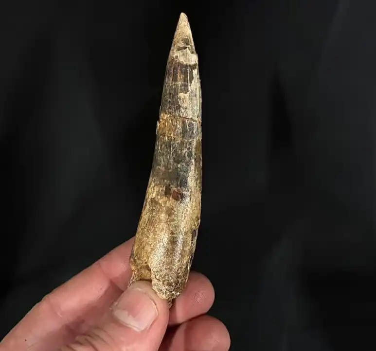 الآثار المكتشفة