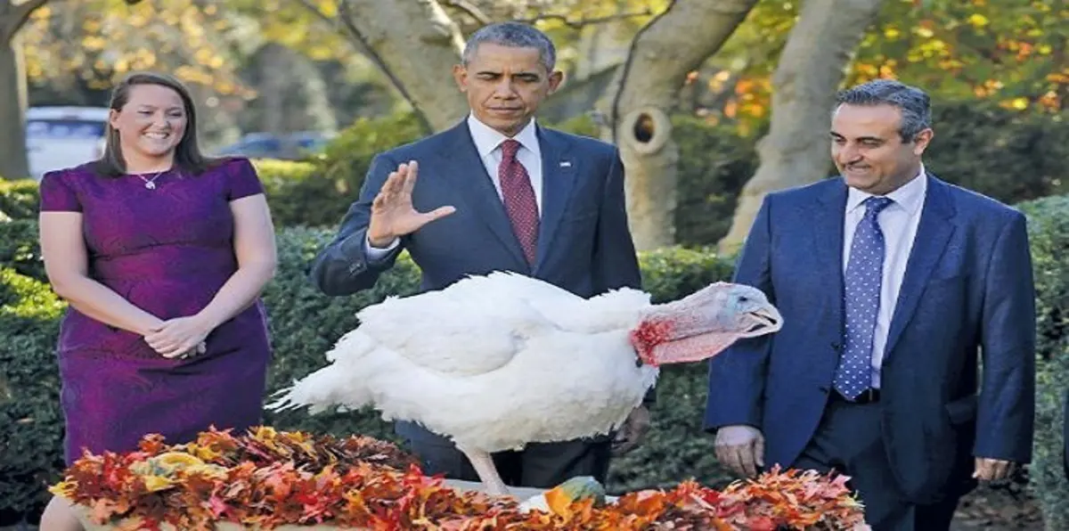 أوباما "يعفو" عن ديك رومي بمناسبة عيد الشكر