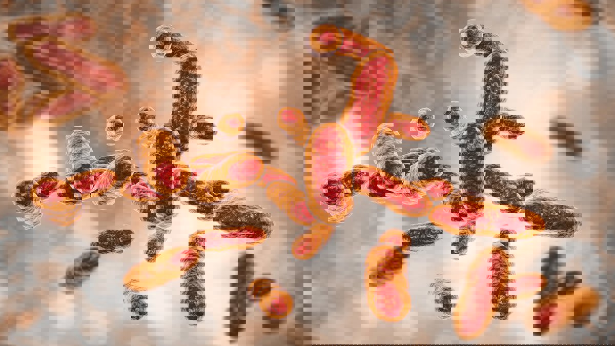 مرض خطير يهدد حياة البشر ينتشر في ولاية أمريكية