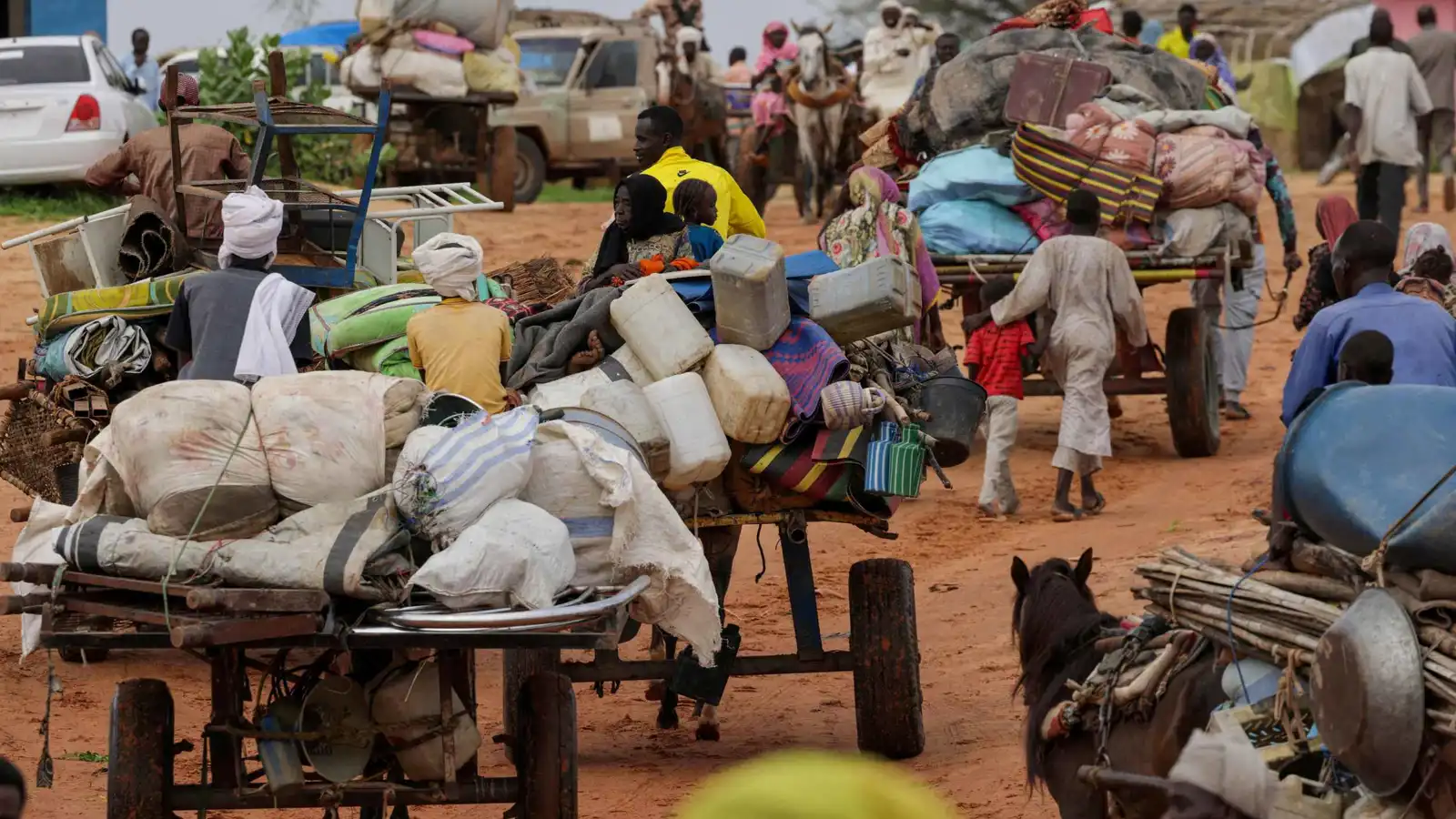 "صمود" يدعو إلى تحرك أوروبي عاجل لوقف الحرب في السودان