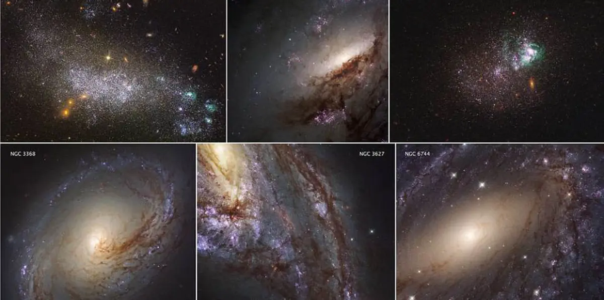 تلسكوب "هابل" يرصد تجمعًا هائلًا للنجوم العتيقة (صور)