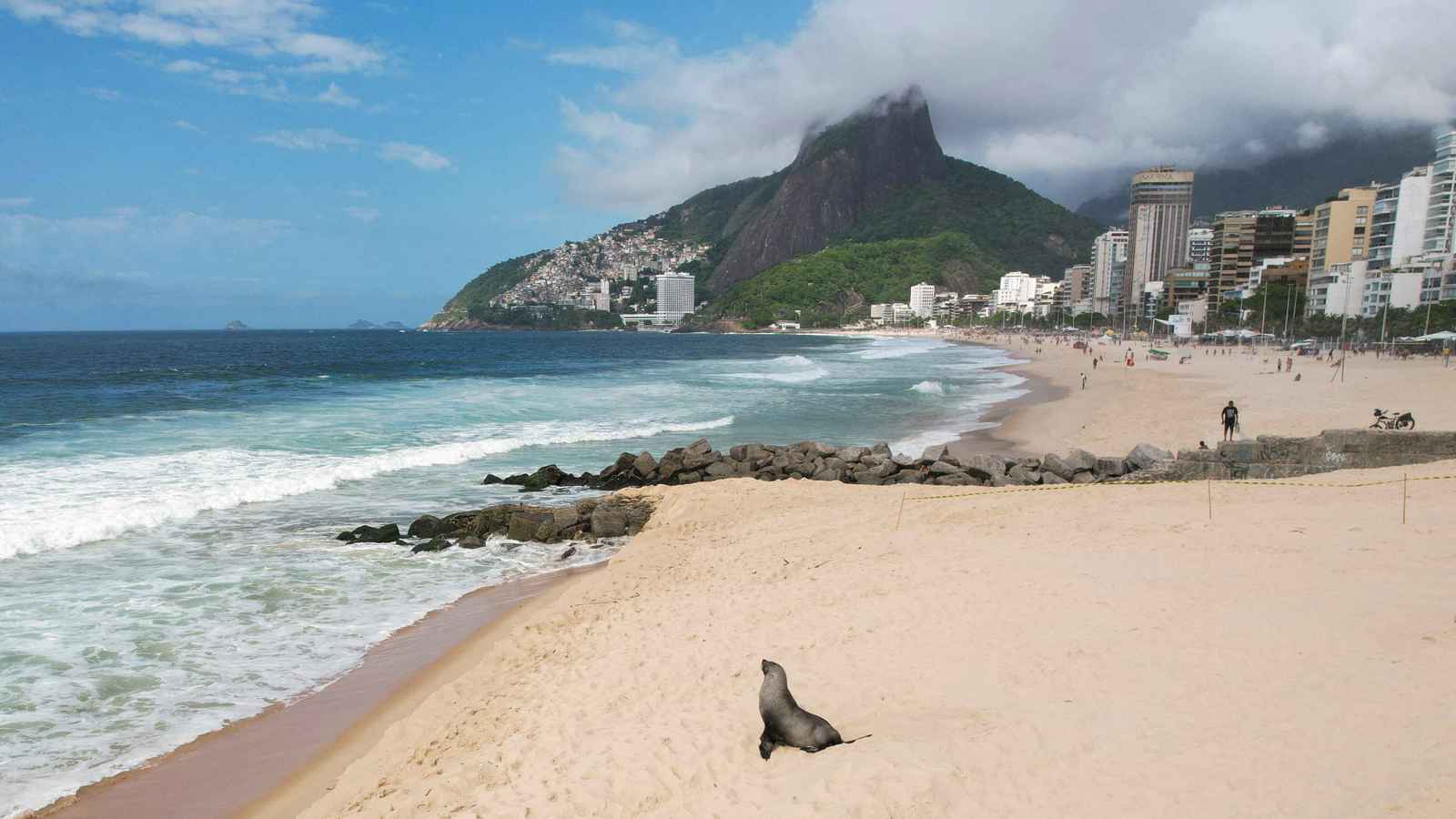 دراسة: البرازيل تشهد "تصاعداً مقلقاً" في الكوارث المناخية