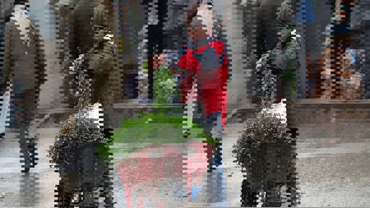 عمالة الأطفال والنساء في سوريا تسجل أرقاماً قياسية