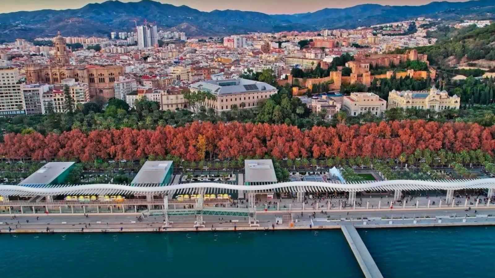 ظهرت "من العدم".. يد مرعبة تباغت سائحًا في حمام أحد الفنادق (فيديو)