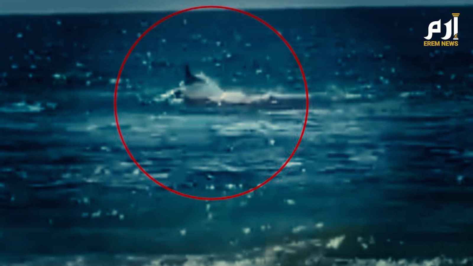قرش مفترس يهاجم سباحاً إسرائيلياً أمام عدسات الكاميرا