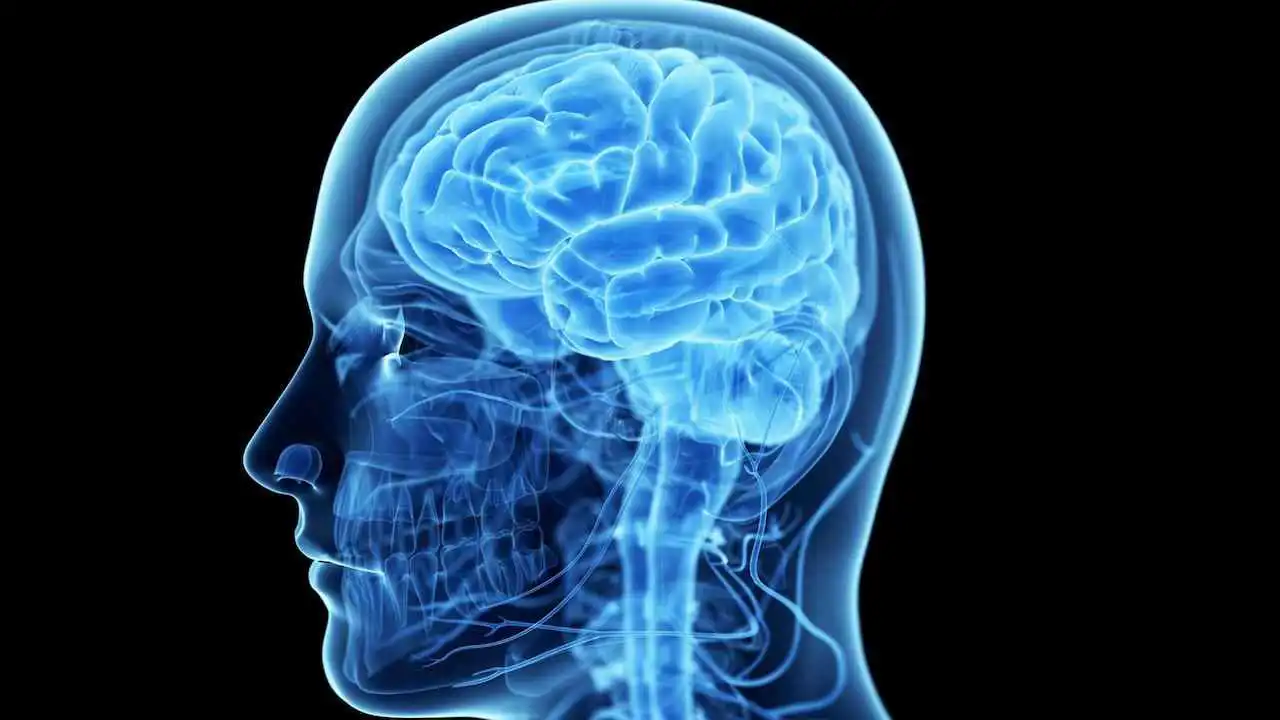 جمجمة بشرية تعيد فتح ملف قضية قديمة.. ما التفاصيل؟