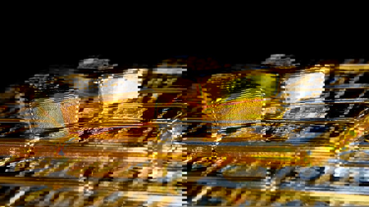 الذهب قرب أدنى مستوى في أسبوعين مع استقرار الدولار 