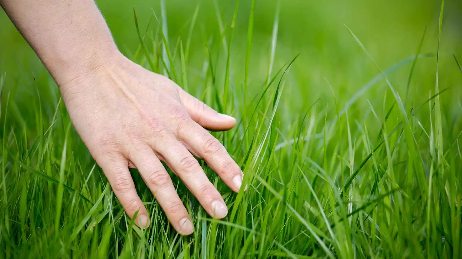 حيل صحية بسيطة لتحسين جودة حياتك دون إنفاق الكثير من المال