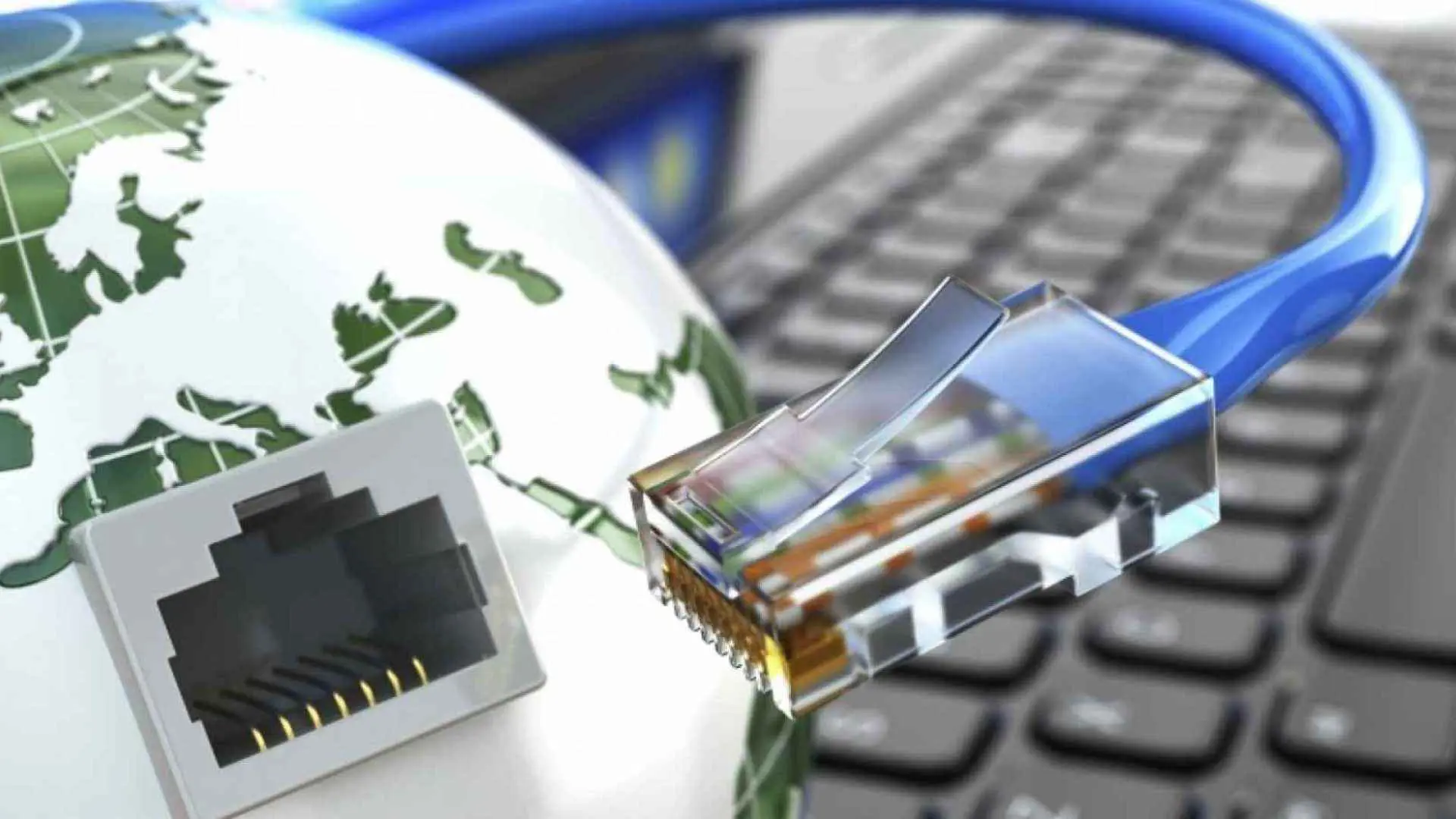 "المُسنة والقرش" من أغرب أسباب انقطاع الإنترنت في العالم