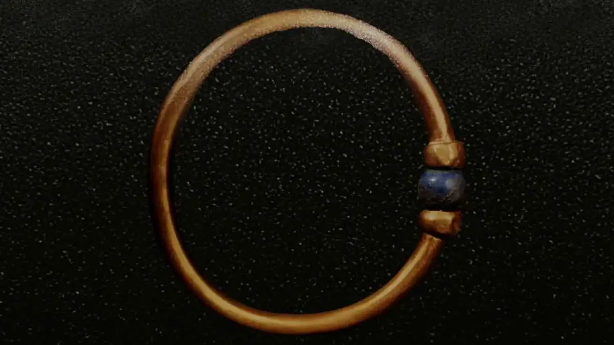 مصر.. ضبط المتورطين في سرقة سوار "بسوسنس الأول"