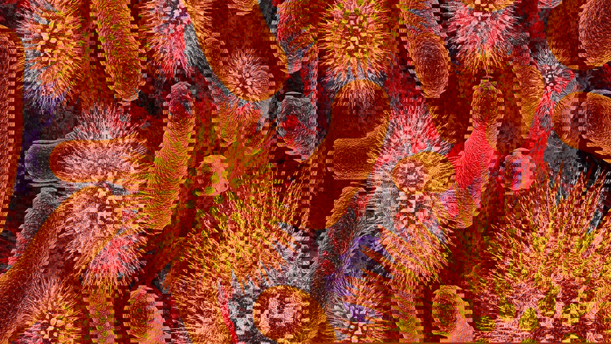 تعرف إلى الجرثومة القولونية.. وكيف تمنعها من الانتشار في جسمك