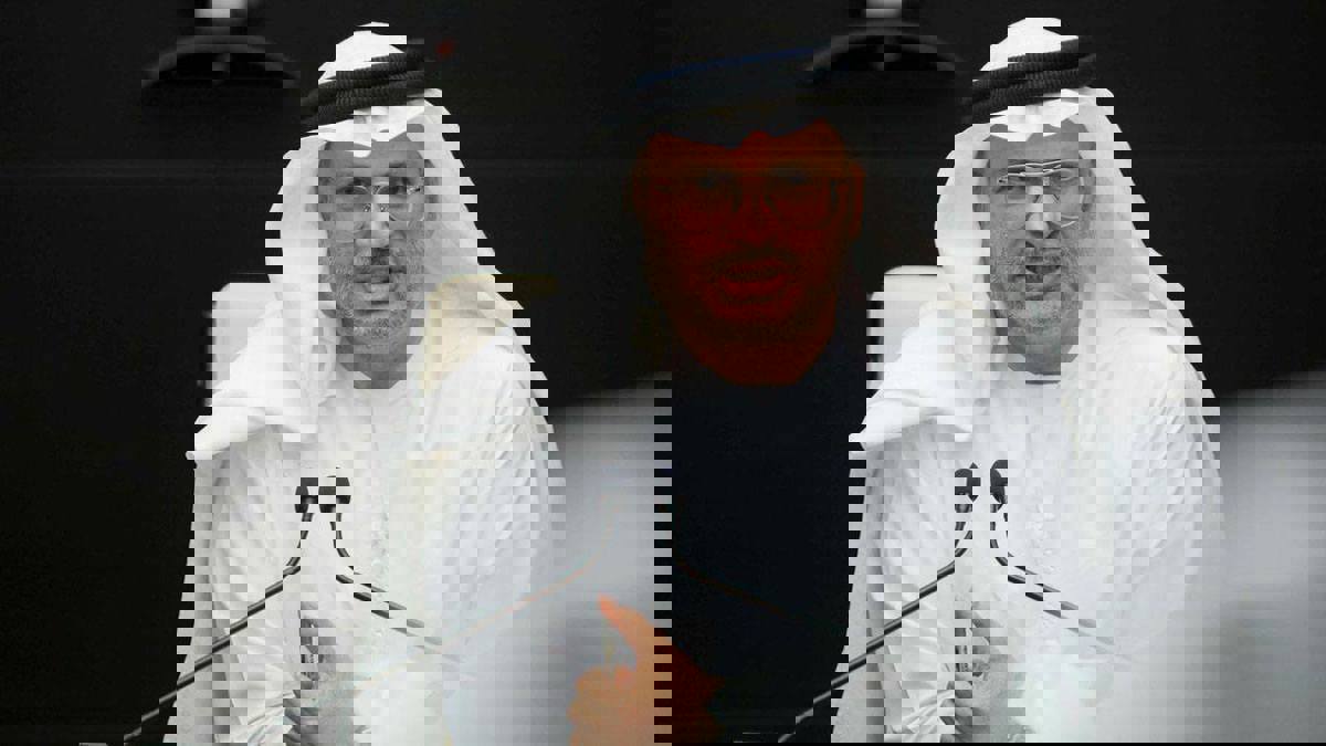 قرقاش: دعم الموقف المصري بشأن ليبيا يؤكد رفض العالم العربي لاستباحة سيادته