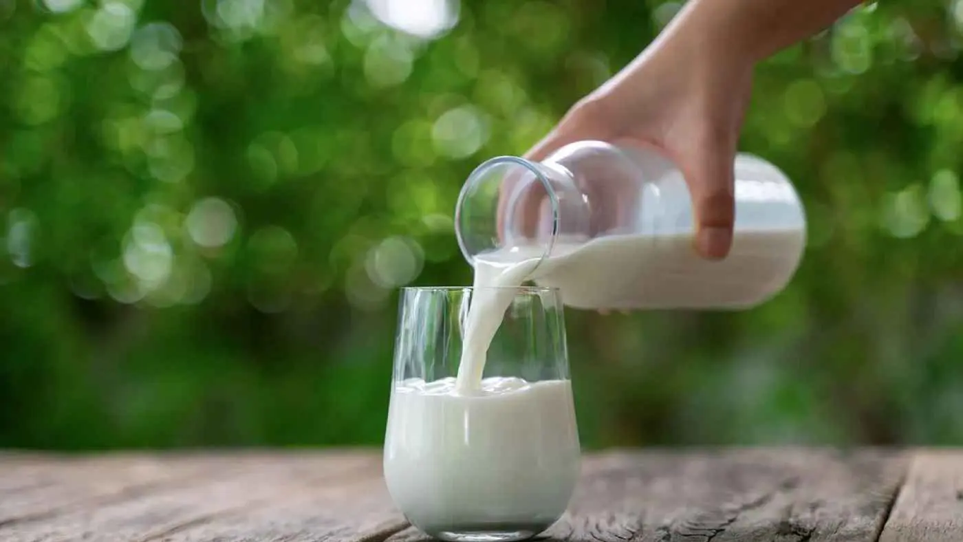 سر رفض اللاكتوز.. كيف يتحول الحليب إلى عدو؟