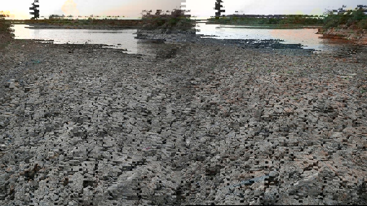 من أرض وفيرة بالمياه إلى يابسة قاحلة... أهوار العراق تستسلم للجفاف