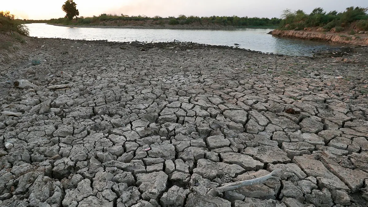 من أرض وفيرة بالمياه إلى يابسة قاحلة... أهوار العراق تستسلم للجفاف