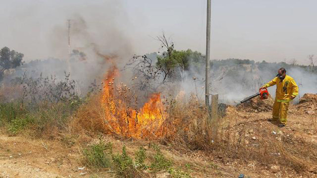 استنفار إسرائيلي لمواجهة حريق شب قرب مطار بن غوريون (فيديو)